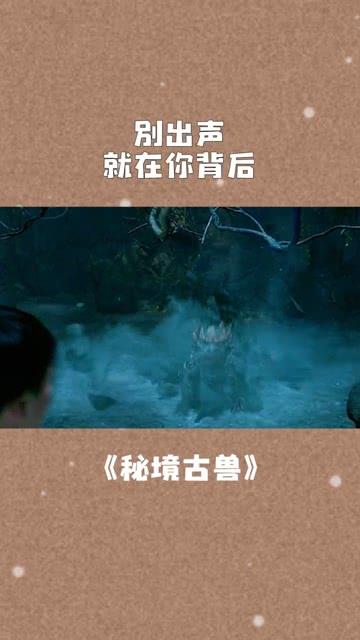 战斗机的反击