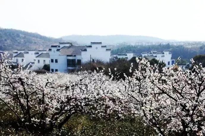 蝴蝶消消乐