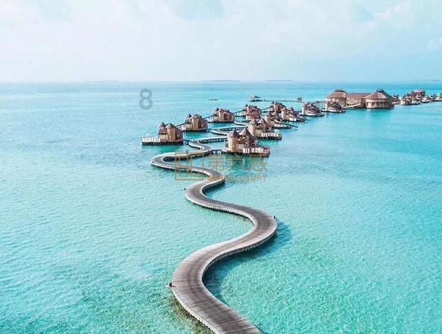 江海龙团队，最新AM