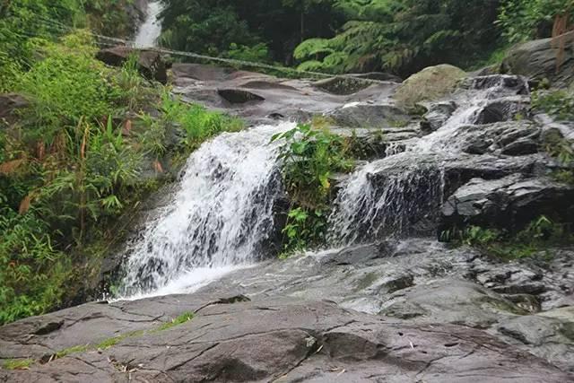 逃出猫头鹰岛
